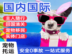 秦皇岛北戴河机场货运国际宠物托运 【国